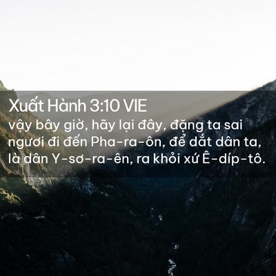 Picture 02 - Xuất Hành 3:10 VIE - vậy bây giờ, hãy lại đây, đặng ta - Bible Verse Picture
