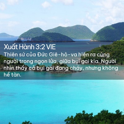 Picture 02 - Xuất Hành 3:2 VIE - Thiên sứ của Đức Giê-hô-va hiện ra - Bible Verse Picture