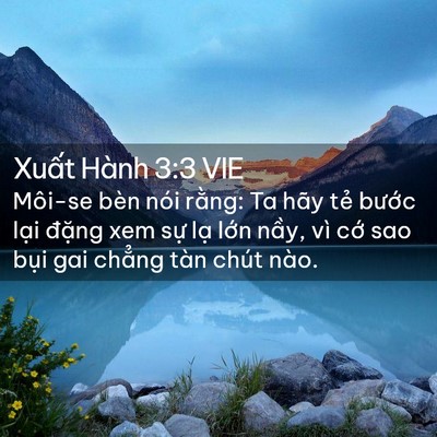 Picture 02 - Xuất Hành 3:3 VIE - Môi-se bèn nói rằng: Ta hãy tẻ bước - Bible Verse Picture