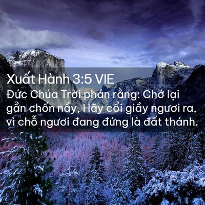 Picture 02 - Xuất Hành 3:5 VIE - Đức Chúa Trời phán rằng: Chớ lại - Bible Verse Picture