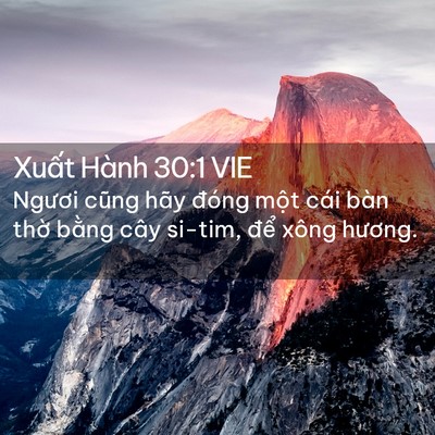 Picture 02 - Xuất Hành 30:1 VIE - Ngươi cũng hãy đóng một cái bàn thờ - Bible Verse Picture