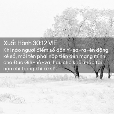 Picture 02 - Xuất Hành 30:12 VIE - Khi nào ngươi điểm số dân Y-sơ-ra-ên - Bible Verse Picture