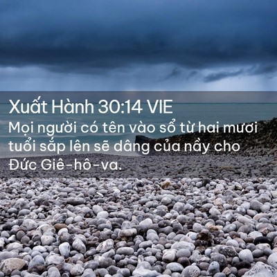 Picture 02 - Xuất Hành 30:14 VIE - Mọi người có tên vào sổ từ hai mươi - Bible Verse Picture