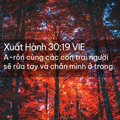 Picture 02 - Xuất Hành 30:19 VIE - A-rôn cùng các con trai người sẽ rửa - Bible Verse Picture