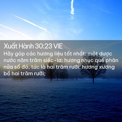 Picture 02 - Xuất Hành 30:23 VIE - Hãy góp các hương liệu tốt nhất: một - Bible Verse Picture
