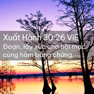 Picture 02 - Xuất Hành 30:26 VIE - Đoạn, lấy xức cho hội mạc cùng hòm - Bible Verse Picture