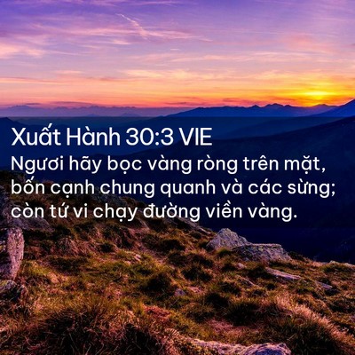 Picture 02 - Xuất Hành 30:3 VIE - Ngươi hãy bọc vàng ròng trên mặt, bốn - Bible Verse Picture