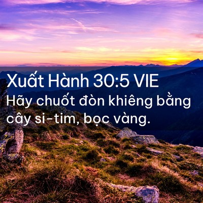 Picture 02 - Xuất Hành 30:5 VIE - Hãy chuốt đòn khiêng bằng cây si-tim, - Bible Verse Picture