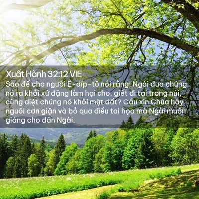 Picture 02 - Xuất Hành 32:12 VIE - Sao để cho người Ê-díp-tô nói rằng: - Bible Verse Picture