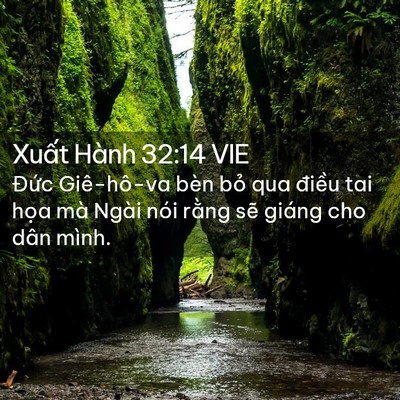 Picture 02 - Xuất Hành 32:14 VIE - Đức Giê-hô-va bèn bỏ qua điều tai - Bible Verse Picture