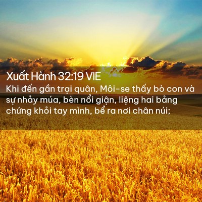 Picture 02 - Xuất Hành 32:19 VIE - Khi đến gần trại quân, Môi-se thấy bò - Bible Verse Picture