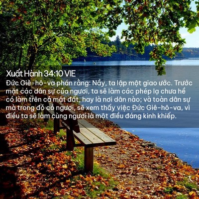 Picture 02 - Xuất Hành 34:10 VIE - Đức Giê-hô-va phán rằng: Nầy, ta lập - Bible Verse Picture
