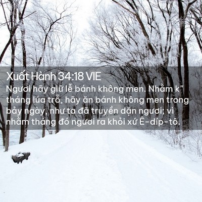 Picture 02 - Xuất Hành 34:18 VIE - Ngươi hãy giữ lễ bánh không men. Nhằm - Bible Verse Picture