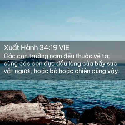 Picture 02 - Xuất Hành 34:19 VIE - Các con trưởng nam đều thuộc về ta; - Bible Verse Picture