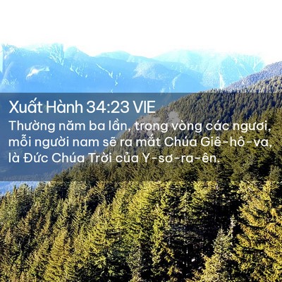 Picture 02 - Xuất Hành 34:23 VIE - Thường năm ba lần, trong vòng các - Bible Verse Picture