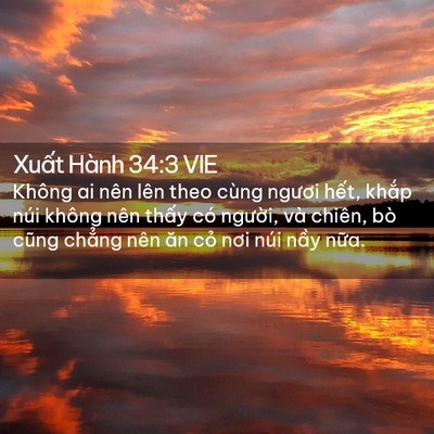 Picture 02 - Xuất Hành 34:3 VIE - Không ai nên lên theo cùng ngươi hết, - Bible Verse Picture