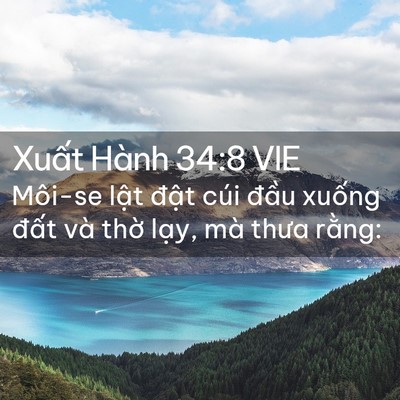Picture 02 - Xuất Hành 34:8 VIE - Môi-se lật đật cúi đầu xuống đất - Bible Verse Picture