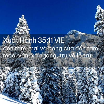 Picture 02 - Xuất Hành 35:11 VIE - đền tạm, trại và bong của đền tạm, - Bible Verse Picture