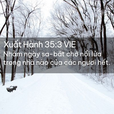 Picture 02 - Xuất Hành 35:3 VIE - Nhằm ngày sa-bát chớ nổi lửa trong nhà - Bible Verse Picture