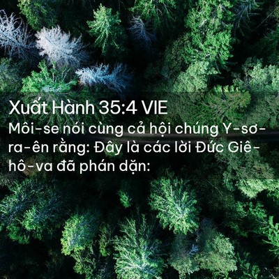 Picture 02 - Xuất Hành 35:4 VIE - Môi-se nói cùng cả hội chúng Y-sơ-ra-ên - Bible Verse Picture