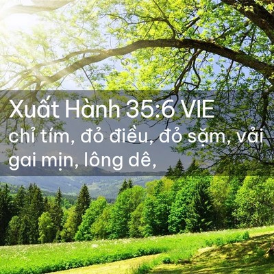 Picture 02 - Xuất Hành 35:6 VIE - chỉ tím, đỏ điều, đỏ sặm, vải gai - Bible Verse Picture