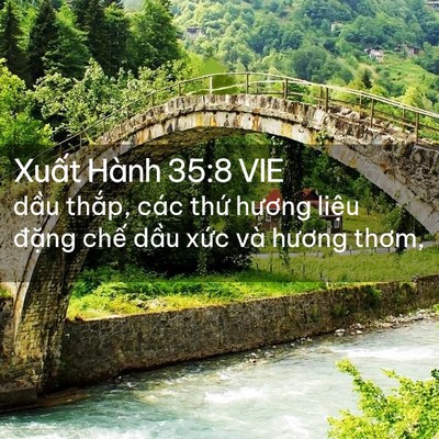 Picture 02 - Xuất Hành 35:8 VIE - dầu thắp, các thứ hương liệu đặng - Bible Verse Picture