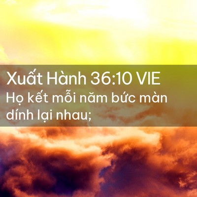 Picture 02 - Xuất Hành 36:10 VIE - Họ kết mỗi năm bức màn dính lại - Bible Verse Picture