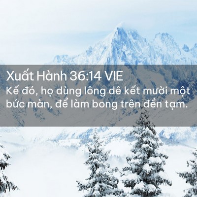 Picture 02 - Xuất Hành 36:14 VIE - Kế đó, họ dùng lông dê kết mười - Bible Verse Picture