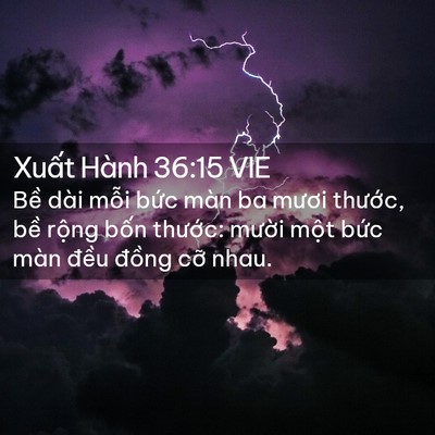 Picture 02 - Xuất Hành 36:15 VIE - Bề dài mỗi bức màn ba mươi thước, - Bible Verse Picture