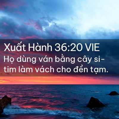 Picture 02 - Xuất Hành 36:20 VIE - Họ dùng ván bằng cây si-tim làm vách cho - Bible Verse Picture