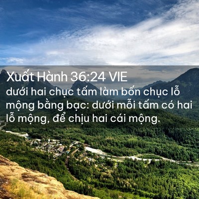 Picture 02 - Xuất Hành 36:24 VIE - dưới hai chục tấm làm bốn chục lỗ - Bible Verse Picture