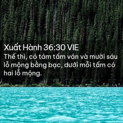 Picture 02 - Xuất Hành 36:30 VIE - Thế thì, có tám tấm ván và mười sáu - Bible Verse Picture