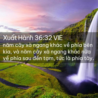 Picture 02 - Xuất Hành 36:32 VIE - năm cây xà ngang khác về phía bên kia, - Bible Verse Picture