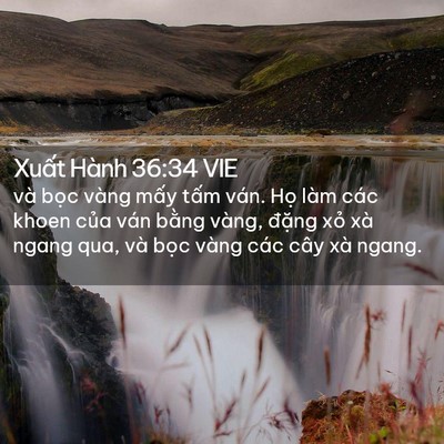 Picture 02 - Xuất Hành 36:34 VIE - và bọc vàng mấy tấm ván. Họ làm các - Bible Verse Picture