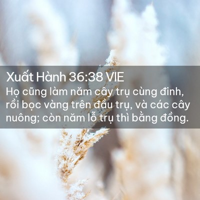 Picture 02 - Xuất Hành 36:38 VIE - Họ cũng làm năm cây trụ cùng đinh, - Bible Verse Picture