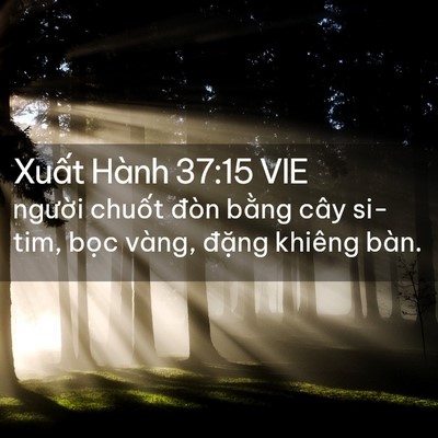 Picture 02 - Xuất Hành 37:15 VIE - người chuốt đòn bằng cây si-tim, bọc - Bible Verse Picture