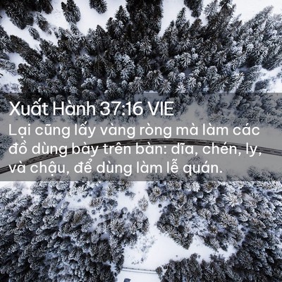 Picture 02 - Xuất Hành 37:16 VIE - Lại cũng lấy vàng ròng mà làm các đồ - Bible Verse Picture