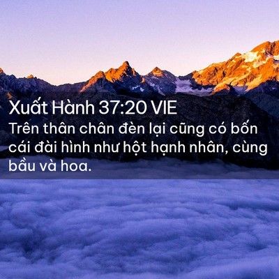 Picture 02 - Xuất Hành 37:20 VIE - Trên thân chân đèn lại cũng có bốn - Bible Verse Picture