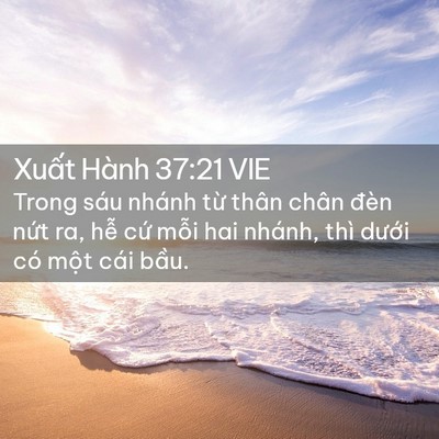 Picture 02 - Xuất Hành 37:21 VIE - Trong sáu nhánh từ thân chân đèn nứt - Bible Verse Picture
