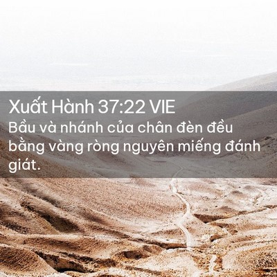 Picture 02 - Xuất Hành 37:22 VIE - Bầu và nhánh của chân đèn đều bằng - Bible Verse Picture