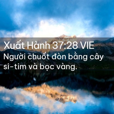 Picture 02 - Xuất Hành 37:28 VIE - Người chuốt đòn bằng cây si-tim và - Bible Verse Picture