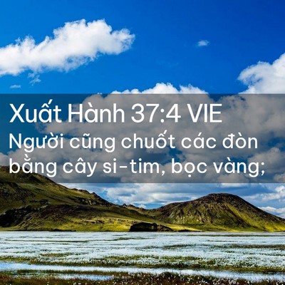Picture 02 - Xuất Hành 37:4 VIE - Người cũng chuốt các đòn bằng cây - Bible Verse Picture