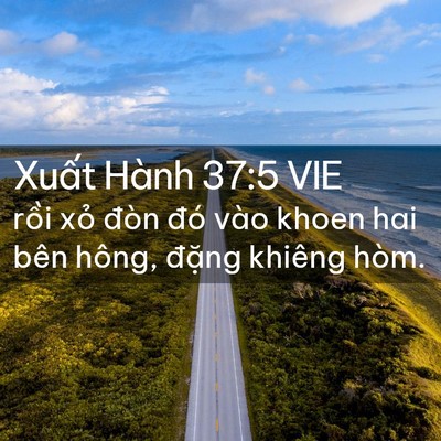 Picture 02 - Xuất Hành 37:5 VIE - rồi xỏ đòn đó vào khoen hai bên hông, - Bible Verse Picture