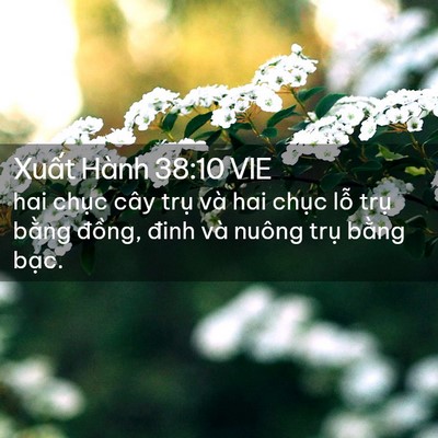 Picture 02 - Xuất Hành 38:10 VIE - hai chục cây trụ và hai chục lỗ trụ - Bible Verse Picture