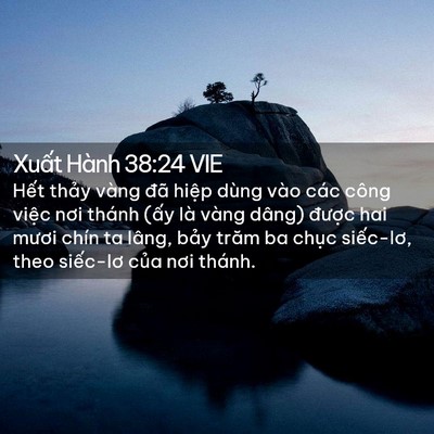 Picture 02 - Xuất Hành 38:24 VIE - Hết thảy vàng đã hiệp dùng vào các - Bible Verse Picture