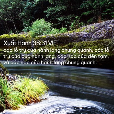 Picture 02 - Xuất Hành 38:31 VIE - các lỗ trụ của hành lang chung quanh, - Bible Verse Picture
