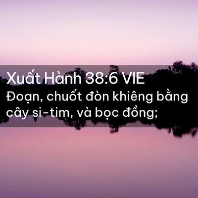 Picture 02 - Xuất Hành 38:6 VIE - Đoạn, chuốt đòn khiêng bằng cây - Bible Verse Picture