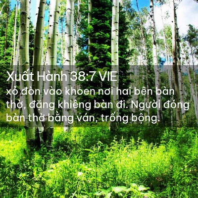 Picture 02 - Xuất Hành 38:7 VIE - xỏ đòn vào khoen nơi hai bên bàn thờ, - Bible Verse Picture