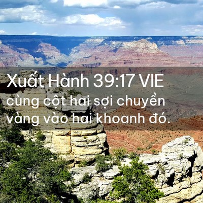 Picture 02 - Xuất Hành 39:17 VIE - cùng cột hai sợi chuyền vàng vào hai - Bible Verse Picture