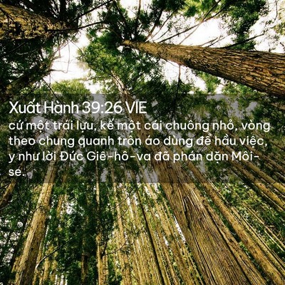 Picture 02 - Xuất Hành 39:26 VIE - cứ một trái lựu, kế một cái chuông - Bible Verse Picture